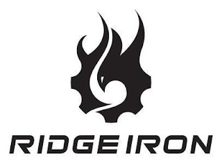 RIDGE IRON logo