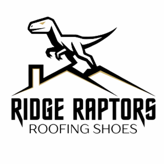 RIDGE RAPTORS ROOFING SHOES logo