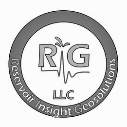 RIG LLC RESERVOIR INSIGHT GEOSOLUTIONS logo