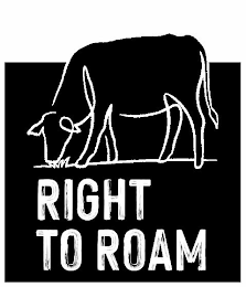 RIGHT TO ROAM logo