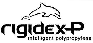 RIGIDEX-P INTELLIGENT POLYPROPYLENE logo
