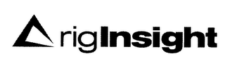 RIGINSIGHT logo