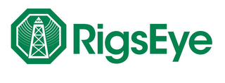 RIGSEYE logo