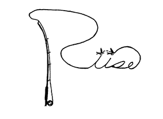 RIISE logo