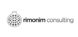 RIMONIM CONSULTING logo