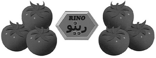RINO logo