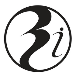 RIO logo
