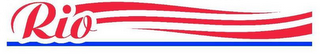 RIO logo