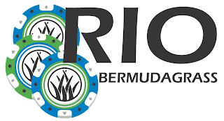 RIO BERMUDAGRASS logo