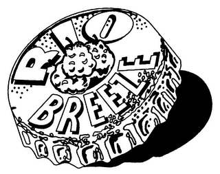 RIO BREEZE logo