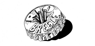 RIO BREEZE logo