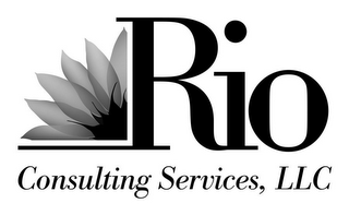 RIO CONSULTING SERVICES, LLC logo