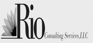 RIO CONSULTING SERVICES, LLC logo