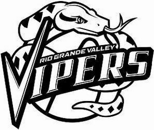 RIO GRANDE VALLEY VIPERS logo