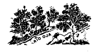 RIO OJA logo