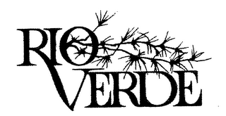RIO VERDE logo