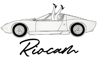 RIOCAM logo