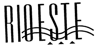 RIOESTE logo