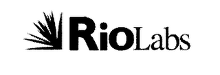 RIOLABS logo