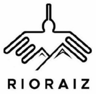 RIORAIZ logo