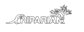 RIPARIAN logo