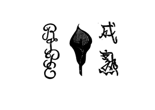 RIPE logo