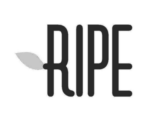 RIPE logo