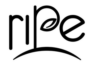 RIPE logo