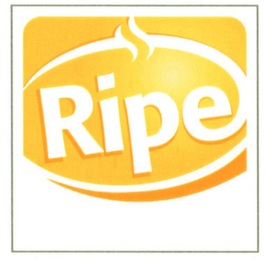 RIPE logo