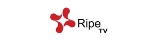 RIPE TV logo