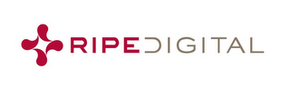 RIPEDIGITAL logo