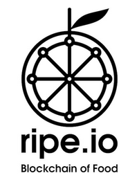 RIPE.IO BLOCKCHAIN OF FOOD logo