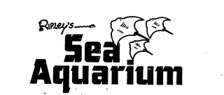 RIPLEY'S SEA AQUARIUM logo