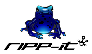 RIPP-IT logo