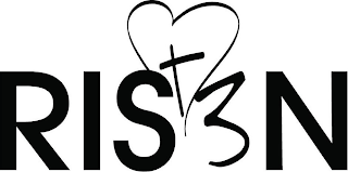 RIS3N logo