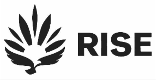 RISE logo