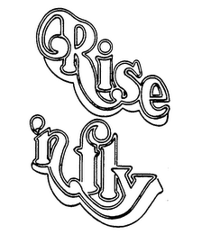 RISE 'N FLY logo