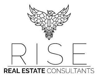 RISE REAL ESTATE CONSULTANTS logo
