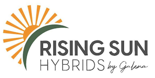 RISING SUN HYBRIDS BY GALENA logo