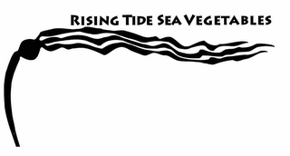 RISING TIDE SEA VEGETABLES logo