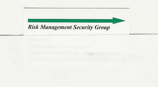 RISK MANAGEMENT SECURITY GROUP logo
