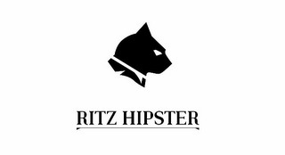 RITZ HIPSTER logo