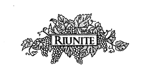 RIUNITE logo