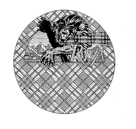 RIVA logo