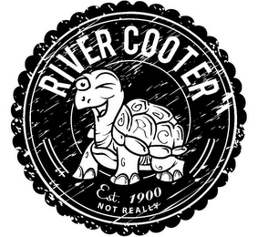 RIVER COOTER EST.1900 NOT REALLY logo