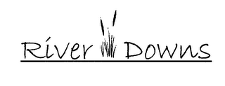 RIVER DOWNS logo