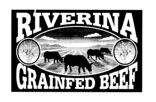 RIVERINA GRAINFED BEEF logo