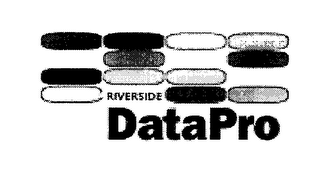 RIVERSIDE DATAPRO logo