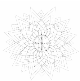 RLIFESTARNOW 36912 NESW logo
