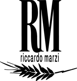 RM RICCARDO MARZI logo